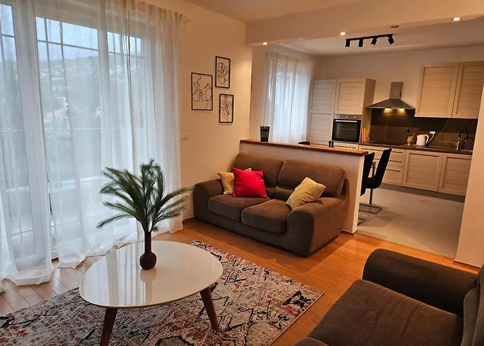 Mak * 科斯特雷纳